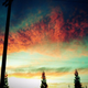 Image for article titled 395 Photos That Prove Cellphones Make Great Cameras